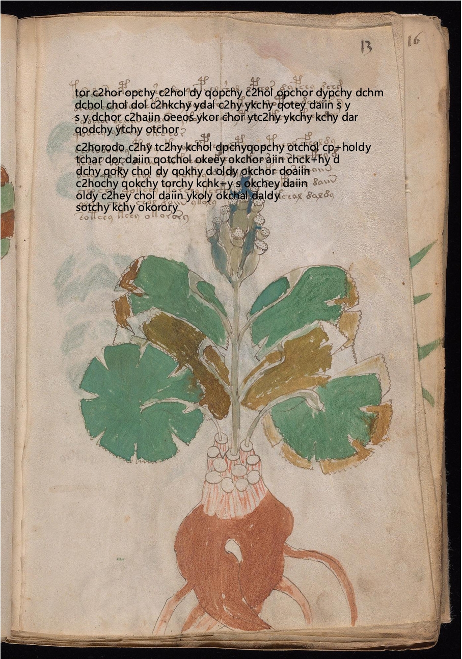 Folio 13r glyph overlay on parchment